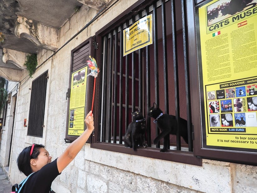 My wife teasing two cats at the Kotor Cats Museum