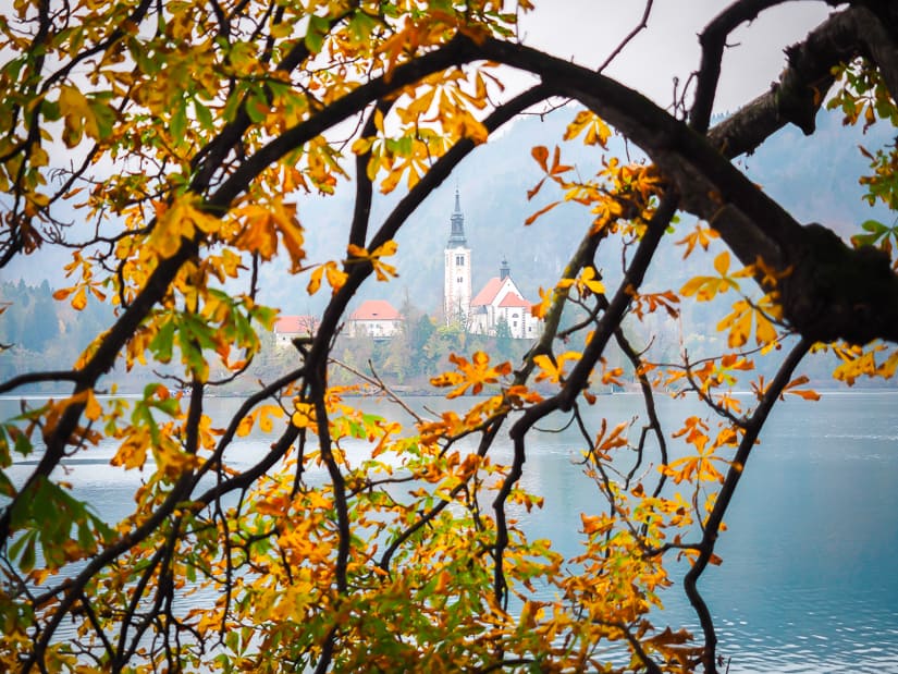 Bled Island church with colorful autumn leaves