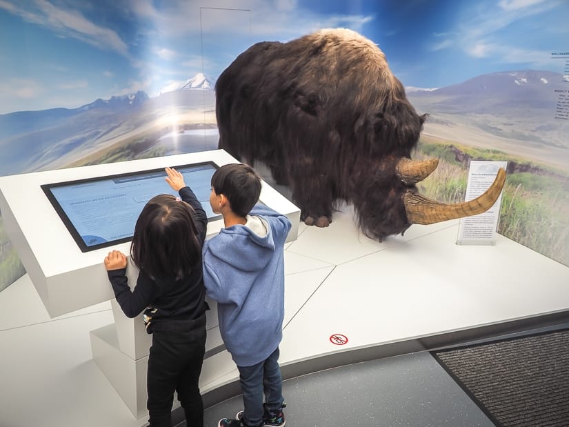 Our kids with an exotic ice age animal display at the Salzburg Nature Museum