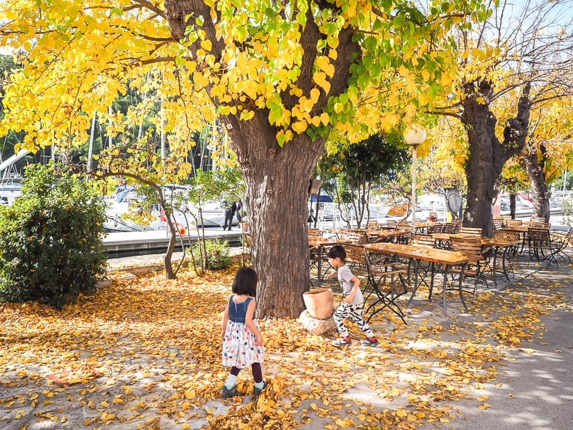 If you're visiting Skradin in October (or Skradin in November), you'll find the leaves changing colors like in this photo