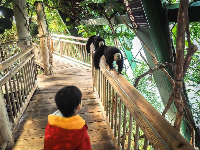 Seeing monkeys at Vienna Aqua Terra Zoo with kids