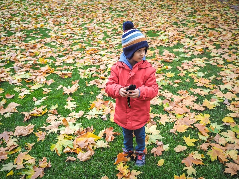 My son standing in a field surrounded by fallen leaves