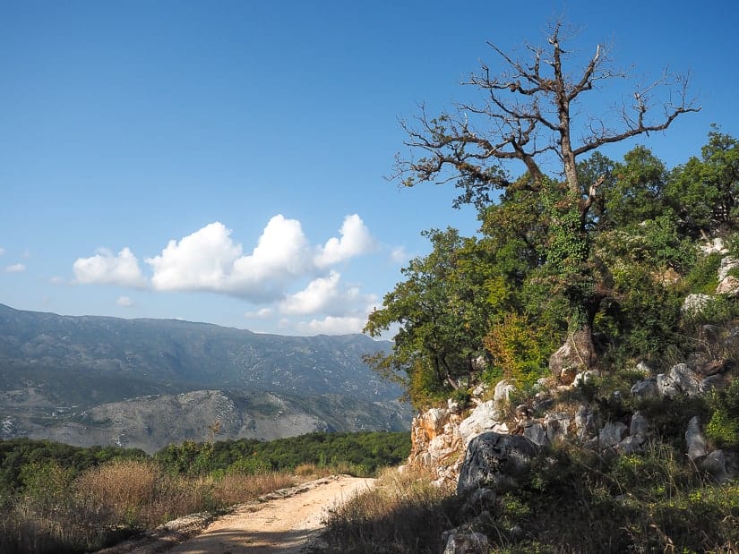 Road descending from Ostrog Monastery