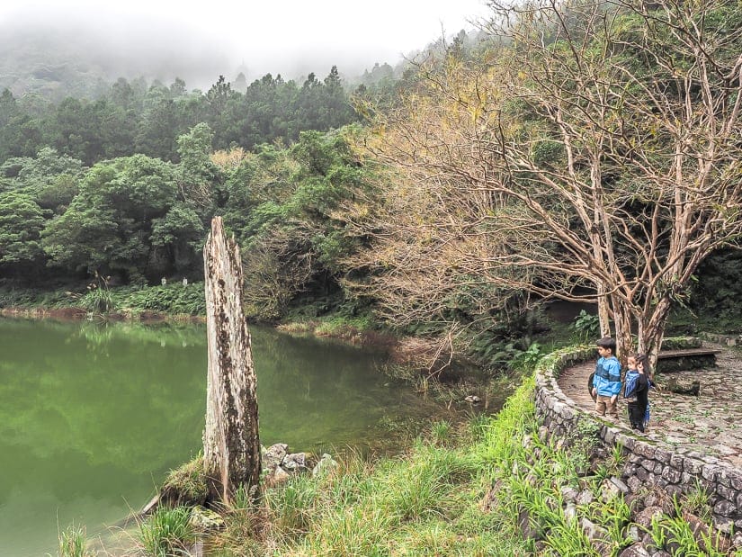 Mingchi National Forest Recreation Area, one of the best things to do in Yilan County Taiwan