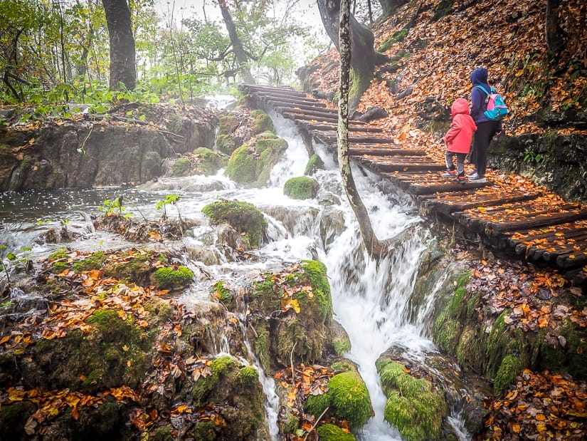 Walking through the forest with our kids in Plitvice Lakes National Park. You can visit Plitvice Lakes with a toddler or Plitvice Lakes with a baby, but you'll need a good carrier