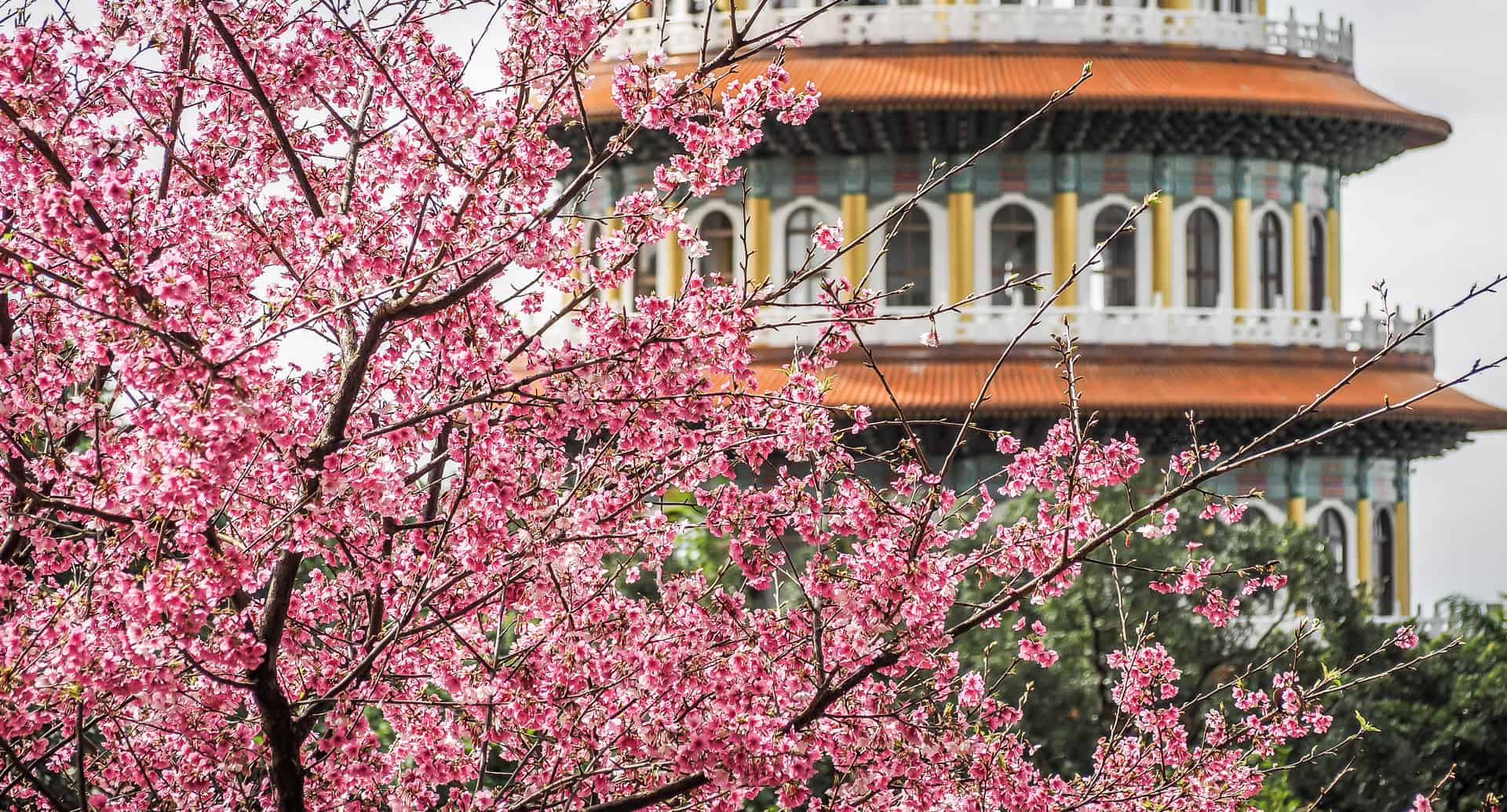A guide to visiting Taipei in March and Taiwan in March