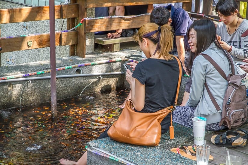 Fish nibbling on people's skin in a foot soaking hot spring tub in Tangweigou hot spring park, one of the quirkiest things to do in Yilan