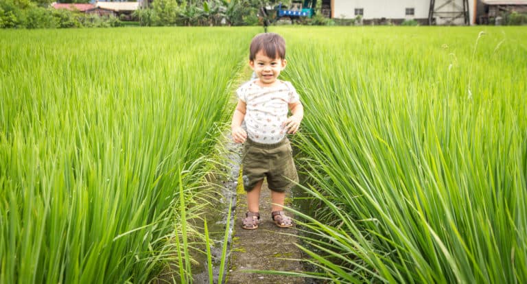 Find 40 things to do in Yilan in this detailed guide to Yilan Taiwan