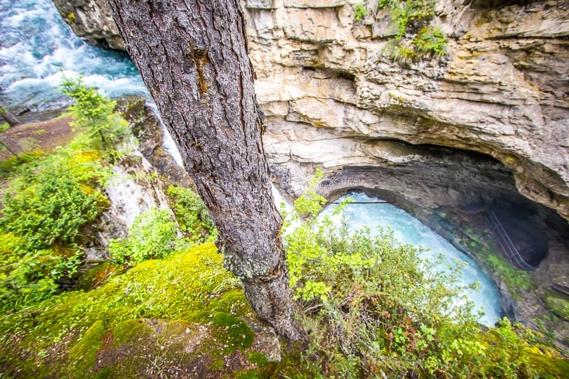 Johnston Canyon, a must on any Banff National Park itinerary