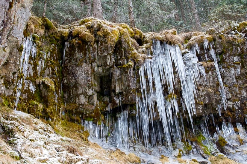 Huge icicles on Snow Mountain, Taiwan