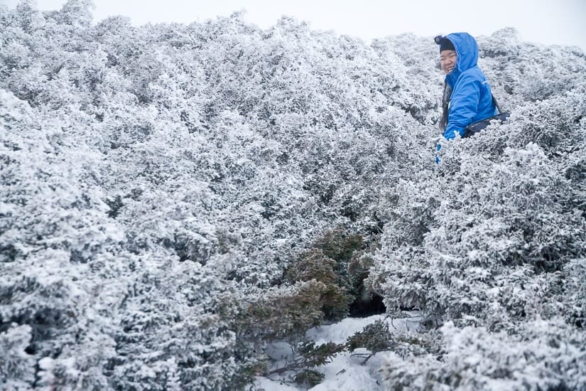 A Taiwanese hiker on Snow Mountain with lots of snow