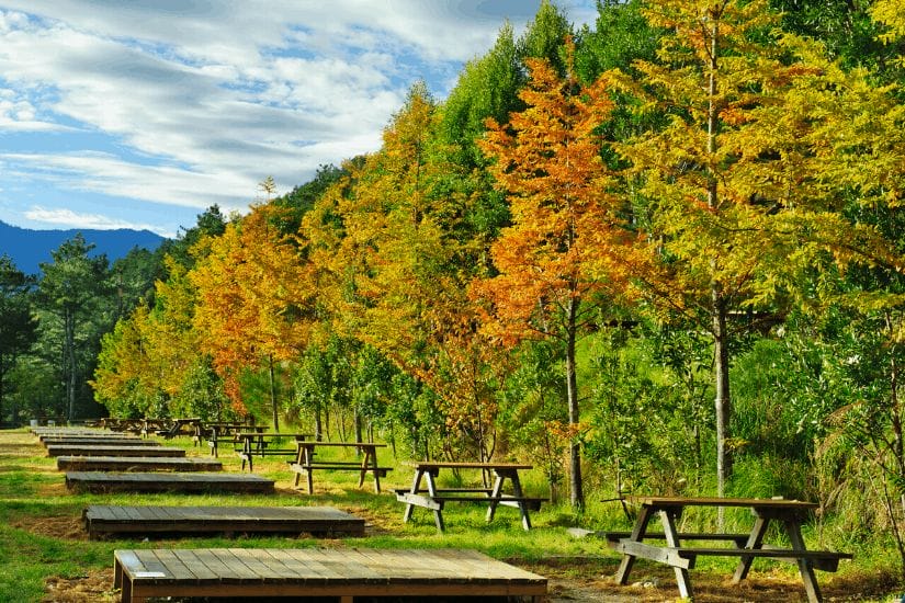 Wuling Farm, one of the best places to see fall colors in fall in Taiwan