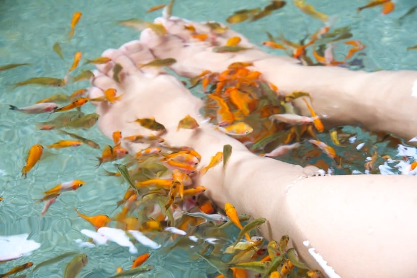 Fish eating dead skin off my feet at Chuang Tang Hot Spring, Jiaoxi