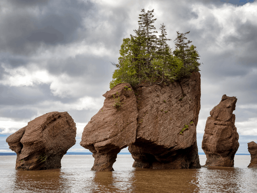 Fundy National Park, Quebec, Canada
