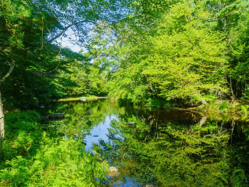 Kejimkujik National Park, Nova Scotia