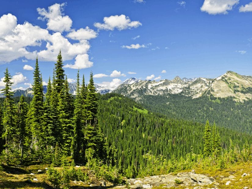 Mount Revelstoke National Park, one of Canada's best national parks
