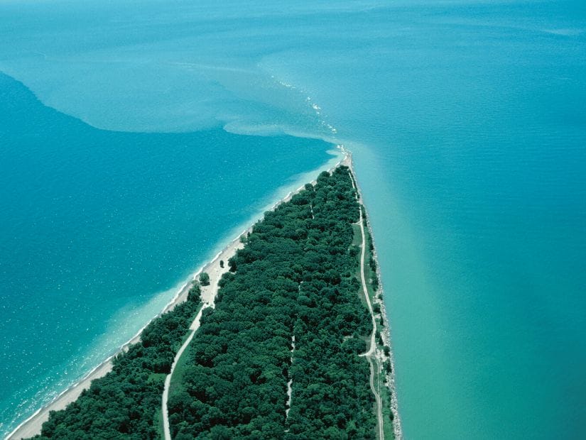 Point Pelee National Park, Ontario