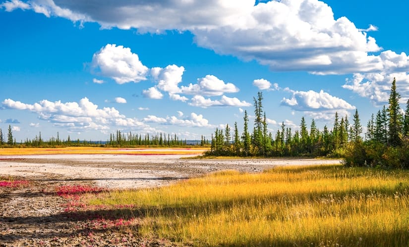 Salt Plains at Wood Buffalo National Park, the largest national park in Canada