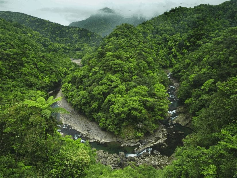 Tongluo Trail, one of the best hikes in Wulai