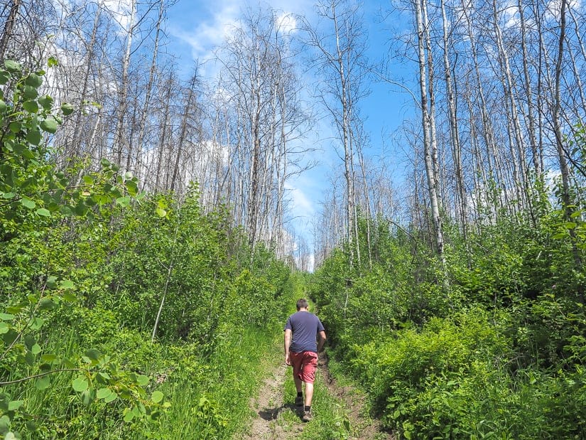 Man walking along an ATV trail in Abasand, Fort Mac, Alberta