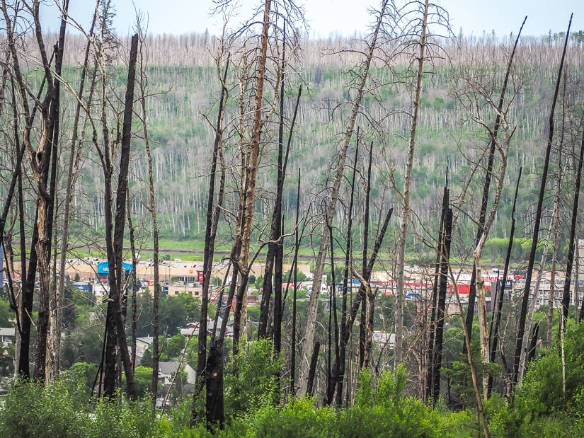 Beacon Hill Lookout Point, which offers one of the best views of Fort McMurray