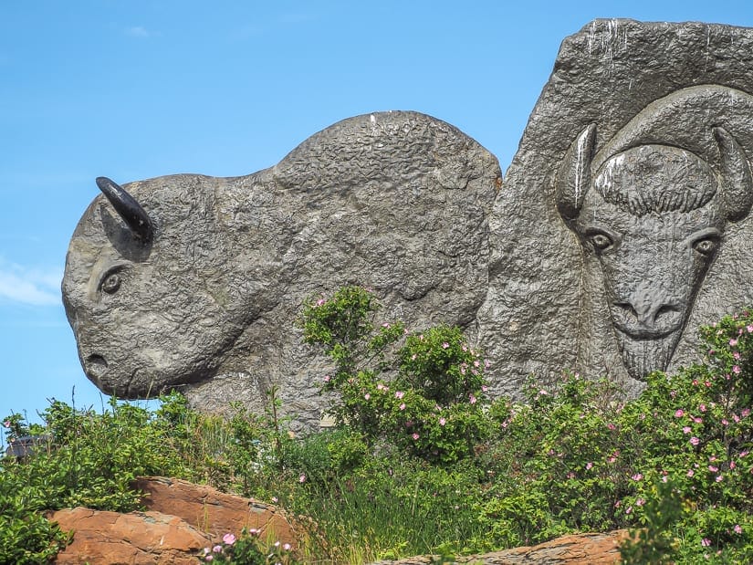 Bison statues, Gateway Hill, Syncrude Reclamation Site, Fort McMurray