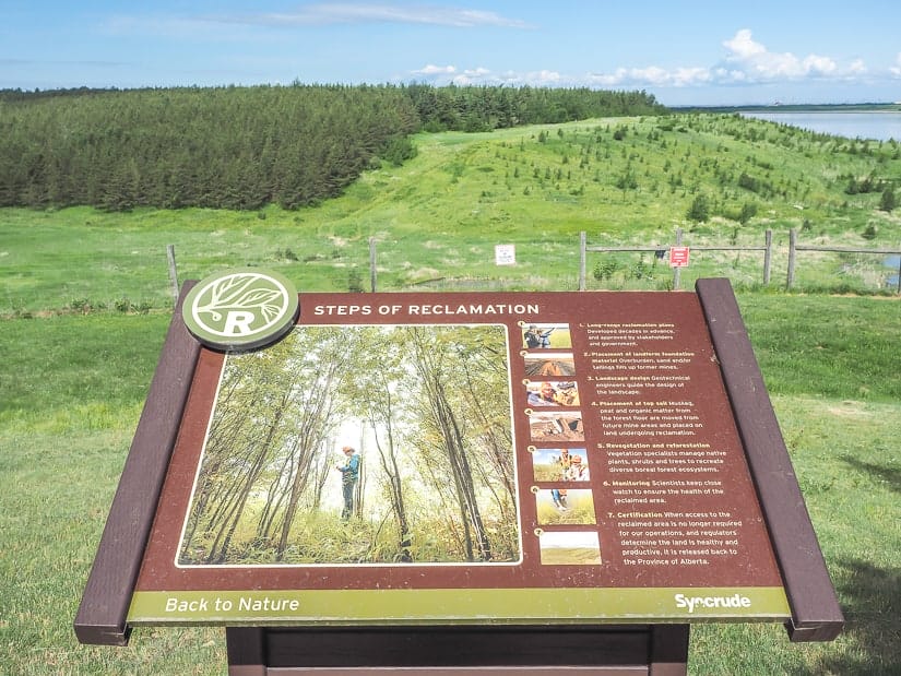 Bison Lookout, a Syncrude Reclamation Site