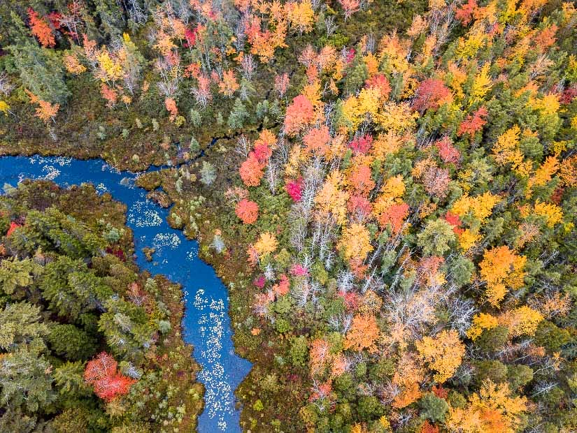 View from above of Acadia National Park in Autumn