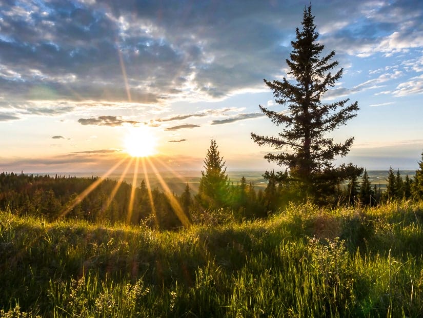 Cypress Hills Interprovincial Park, Alberta