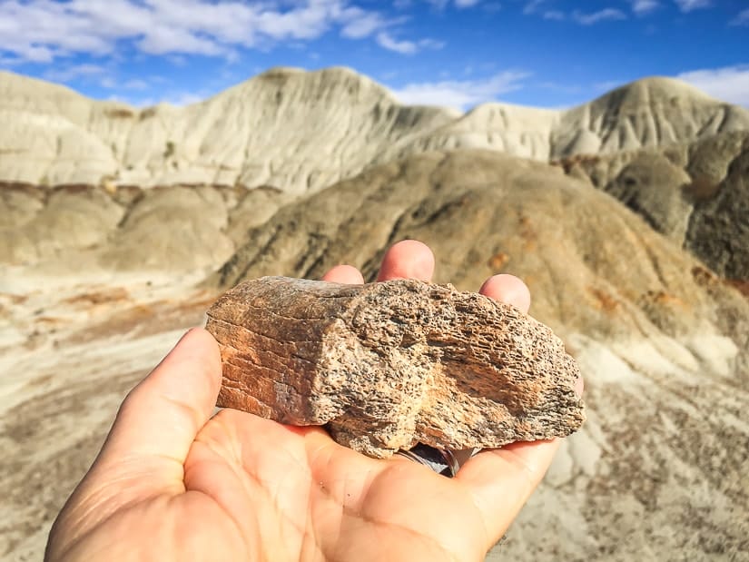 My hand holding a dinosaur bone with badlands scenery in the background