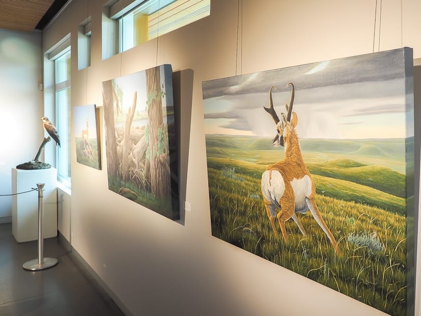 Artwork and animal displays inside Helen Schuler Nature Reserve