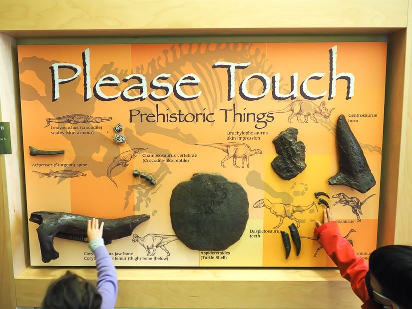 An interactive dinosaur fossil display inside the Dinosaur Park Museum with two kids touching it