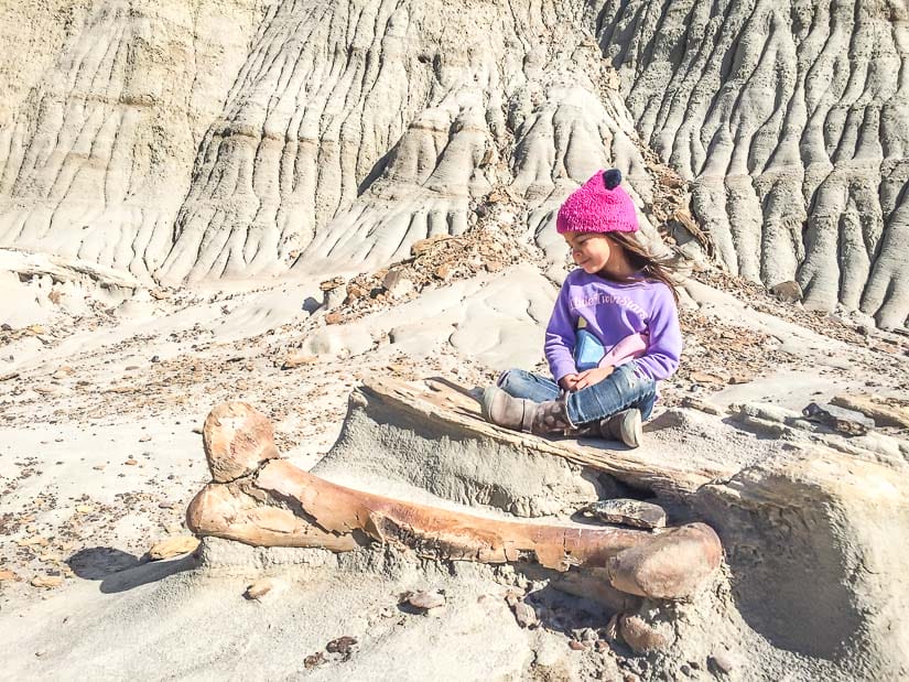 A girl sitting beside of real dinosaur leg bone on a Dinosaur Provincial Park Interpretive tour