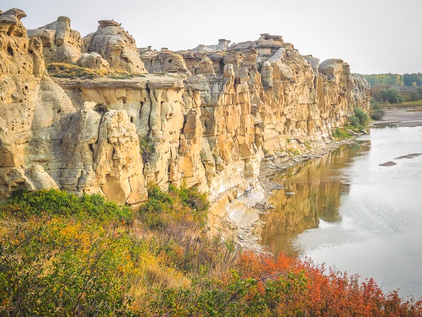 Cliffs and hoodoos beside Milk River in Writing-on-Stone Provincial Park, Alberta