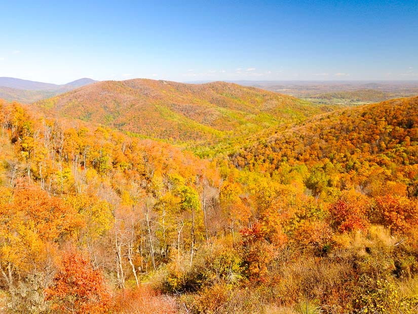 Beautiful fall colors of Shenandoah National Park