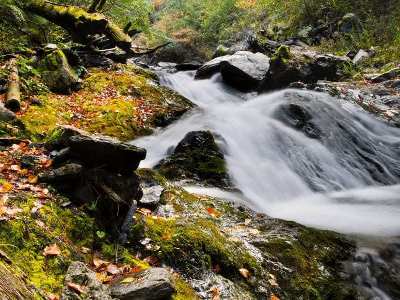 A forest stream and waterfall surrounded by autumn foliage