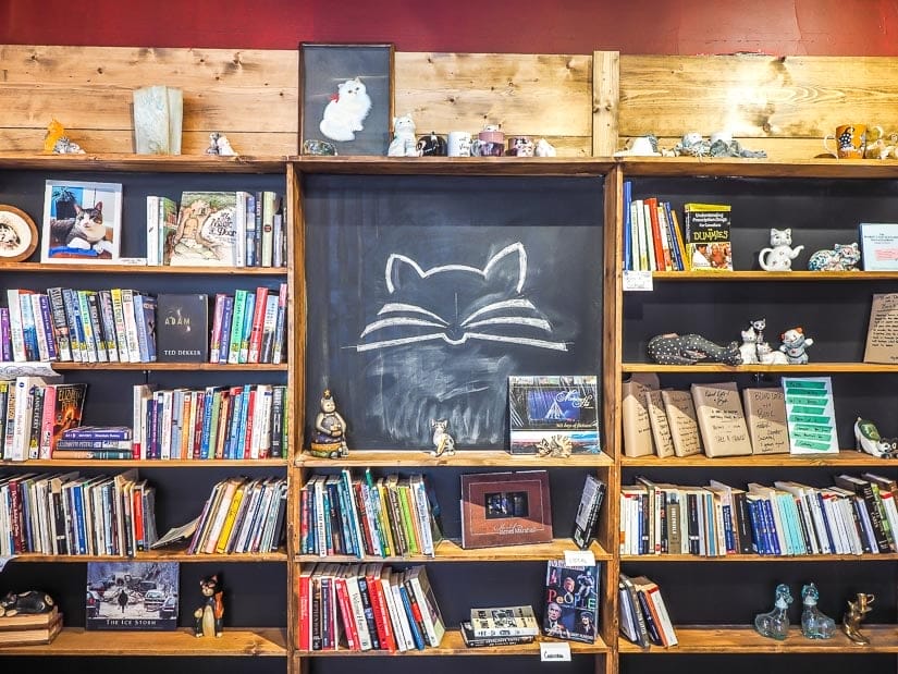 Inside the Page & Whisker used bookstore in Medicine Hat