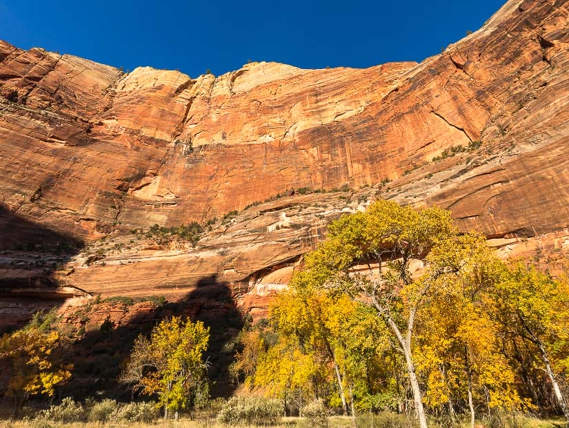 Sheer vertical cliff of Zion National Park, USA in autumn