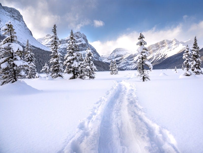 Cross country skiing, one of the best things to do in banff in winter