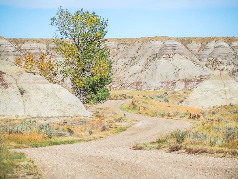 Gravel road called the Scenic Loop in Dinosaur PP