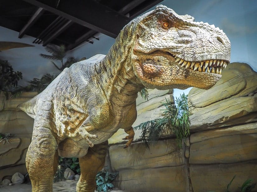 T-Rex at Fossil Discovery Center Drumheller