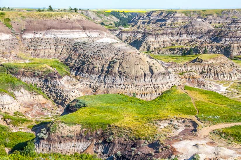 Expansive view of Horseshoe Canyon in Drumheller