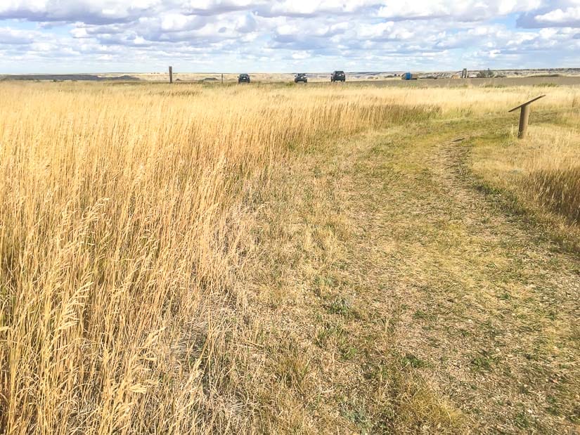 Prairie Trail, Dinosaur Prov Park