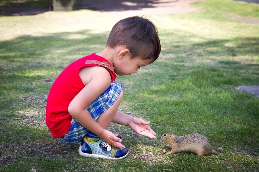 Kid holding his hand to a gopher in the Royal Tyrrell Museum of Paleontology playground, Drumheller