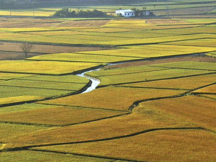 Agricultural land in Fenglin (Fonglin) Hualien