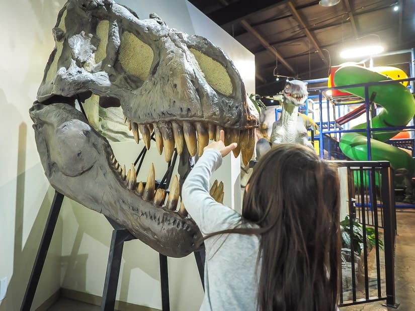 Kid and T-Rex skull at Fossil World Discovery Centre, Drumheller