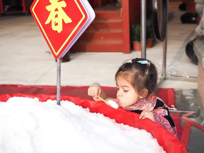 A young girl tasting the salt at salt field in Taiwan