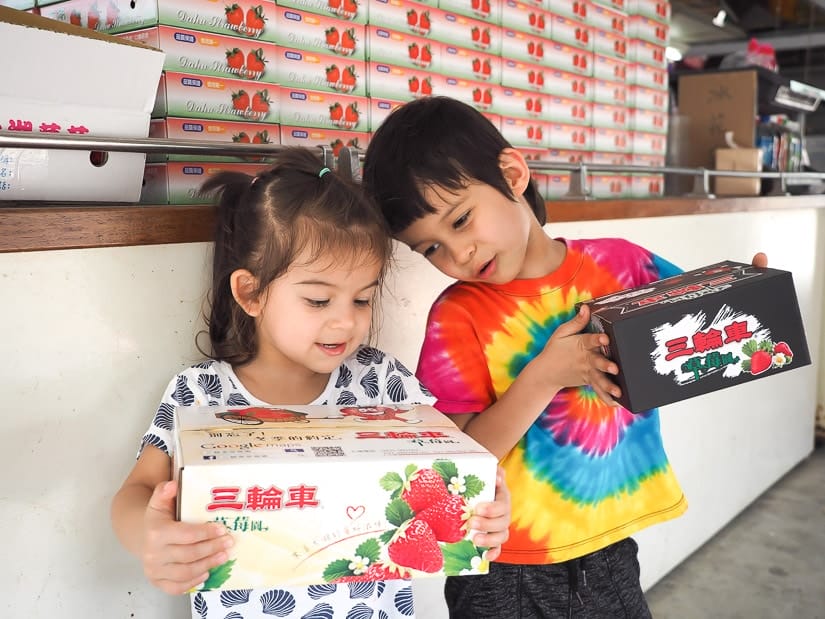 Two kids holding boxes of strawberries that they just picked