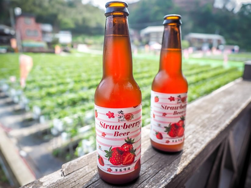Strawberry beers with a strawberry farm in the background