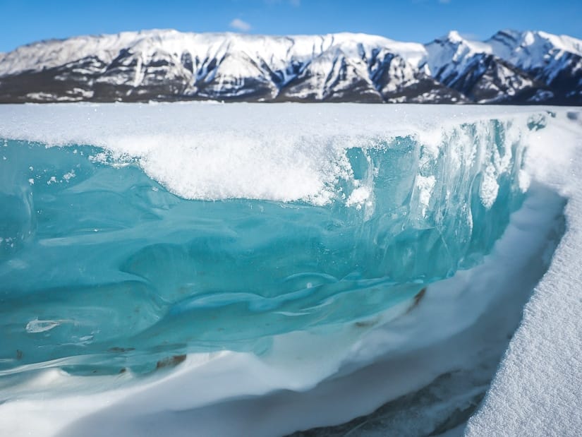Stick chunk of frozen lake ice at Preacher's Point, Abraham Lake